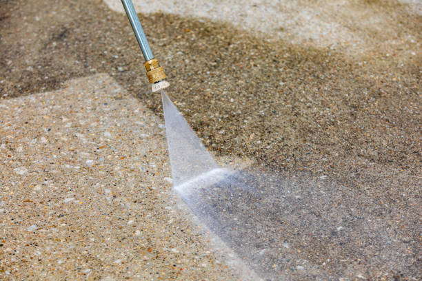 Best Pre-Holiday Cleaning  in Blackstone, VA